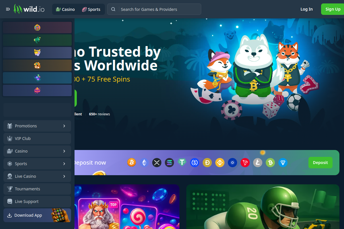 Wild.io Scam Alert  Exposed | Online Crypto Casino Risks You Must Know